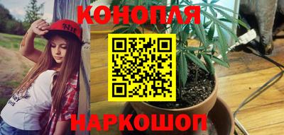 тгк Краснодар