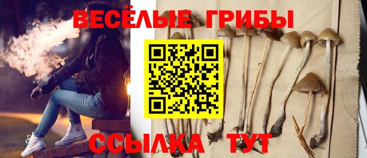Еманжелинск  Псилоцибиновые грибы MAGIC MUSHROOMS  цены   Вход с VPN 