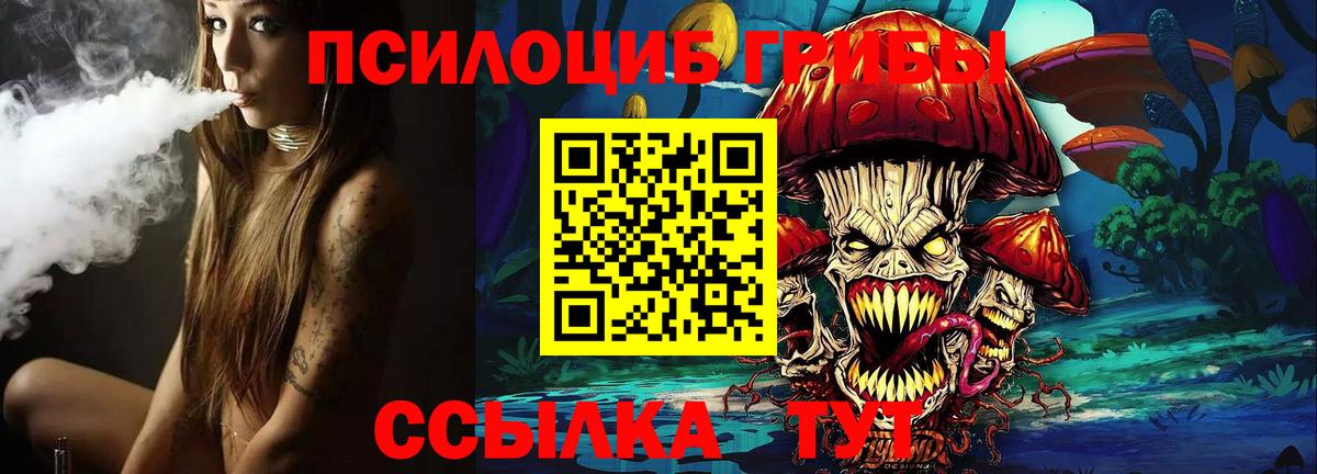 Галлюциногенные грибы Psilocybe Еманжелинск